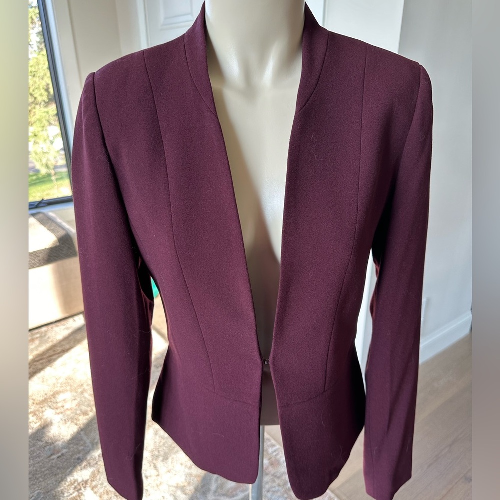 MARIO SERRANI Italian-made Burgundy Blazer, Size 6